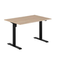Höj- & sänkbart skrivbord